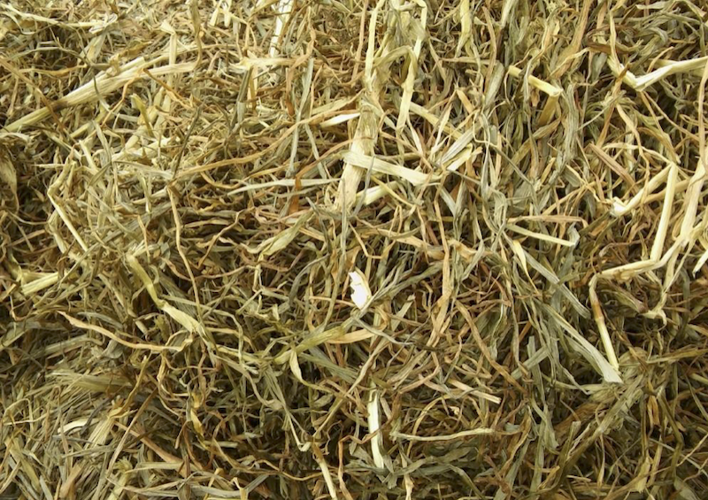 Premium FredBed horse and animal bedding designed to provide comfort, absorbency and a healthier stable environment.