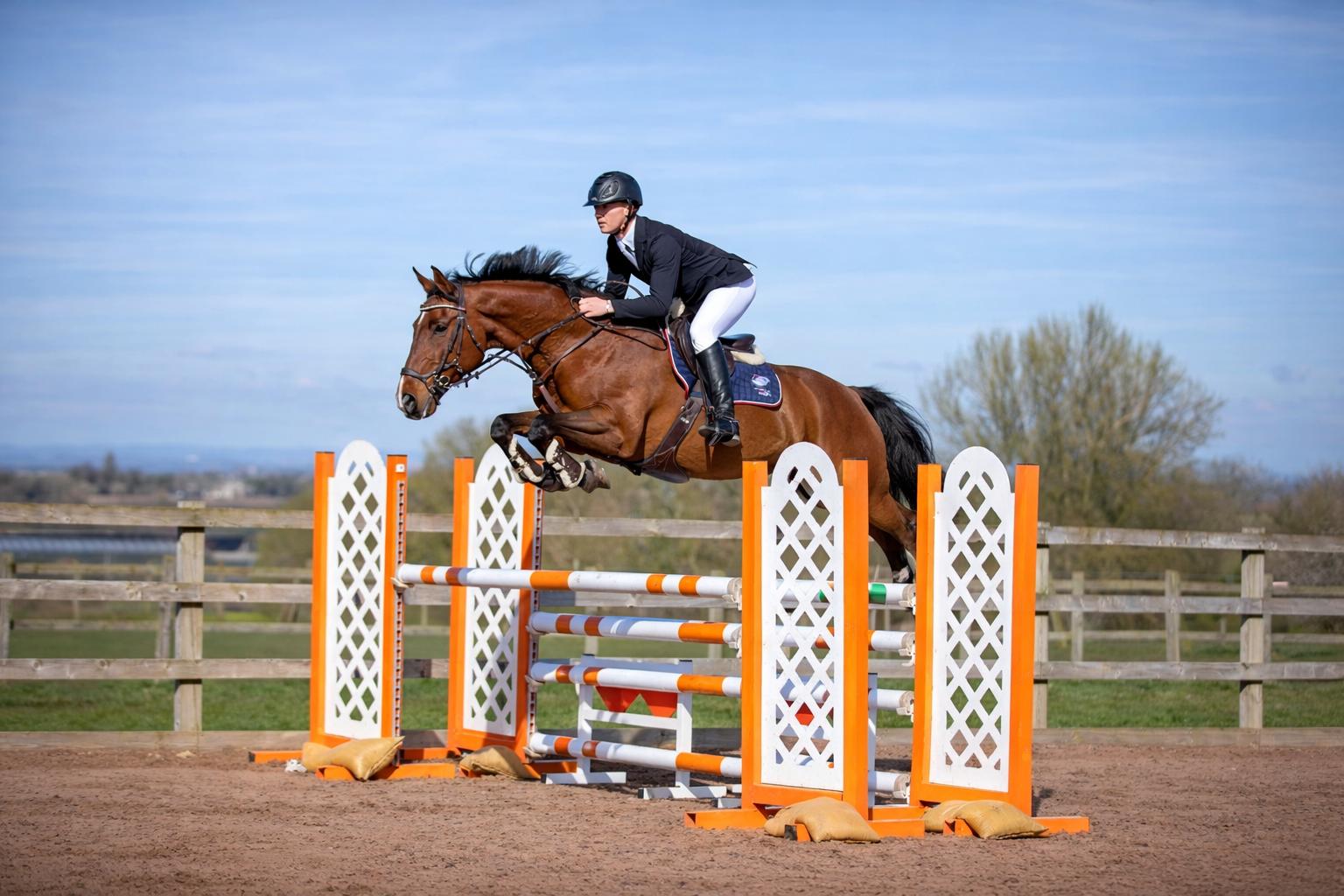 Xcel Sport Horses website design by WA Designs, showcasing luxury equestrian facilities, competition livery, horse sales and professional show jumping.