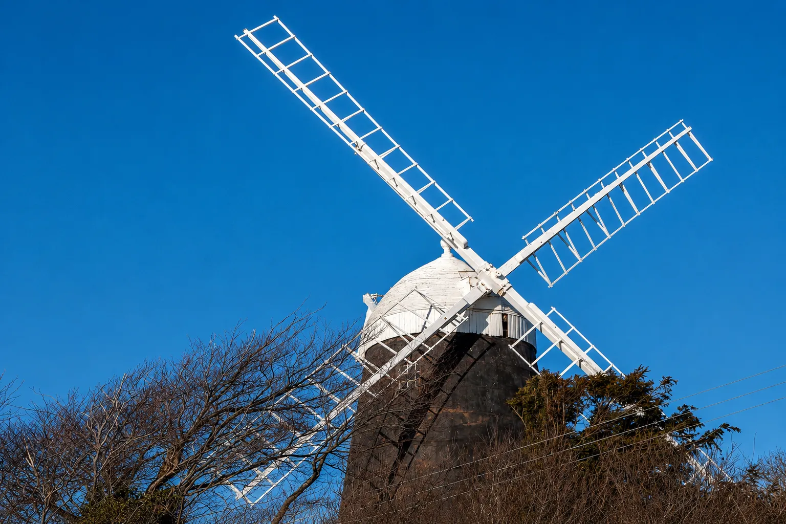 Dynamic Content Image