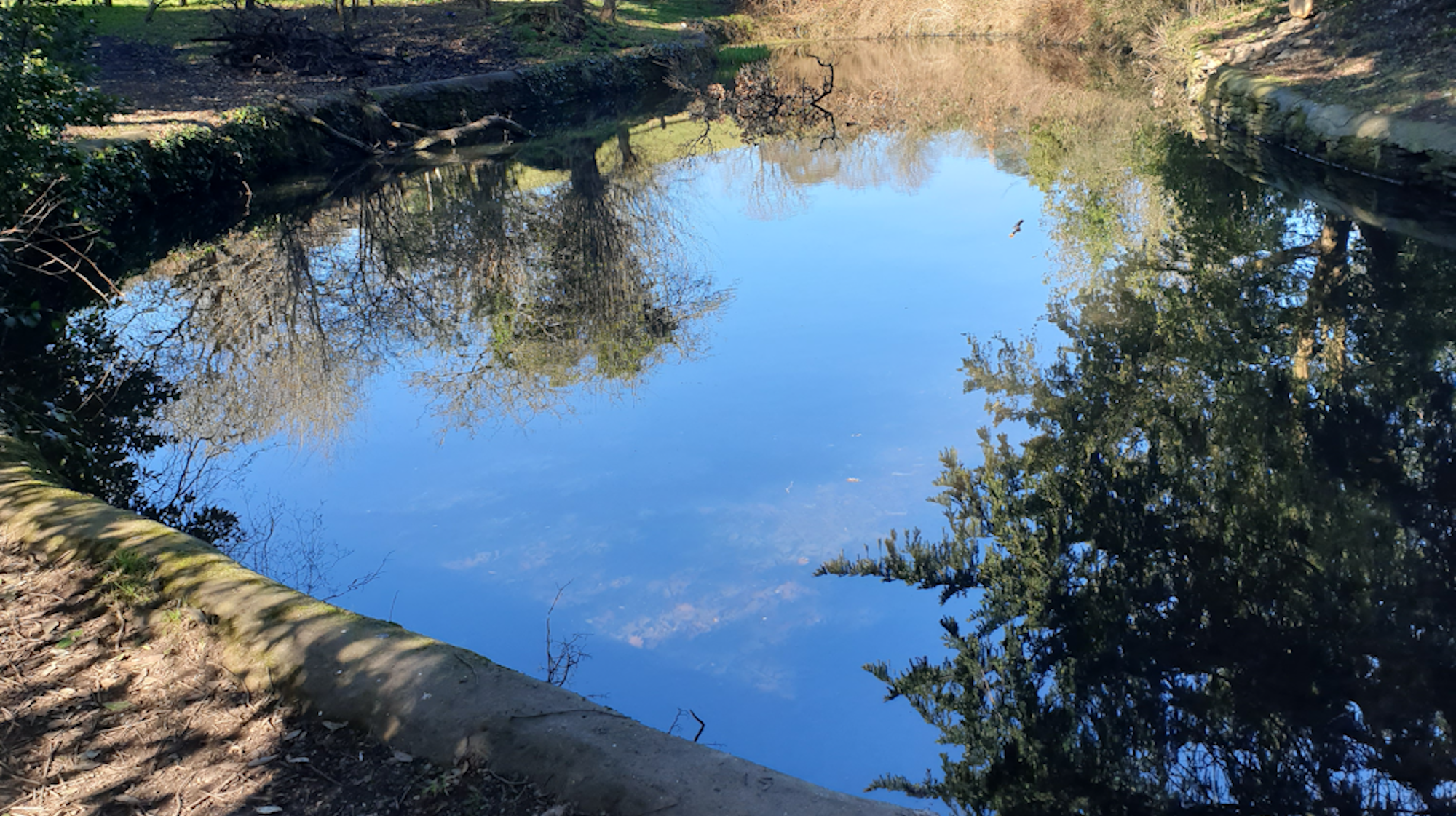Winterbourne Parish Council