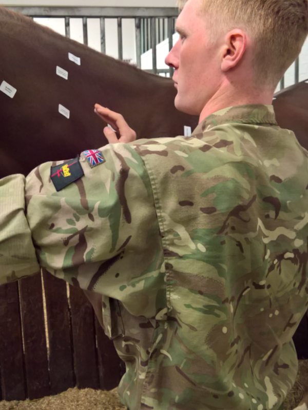 Equissage Europe Equissage Europe