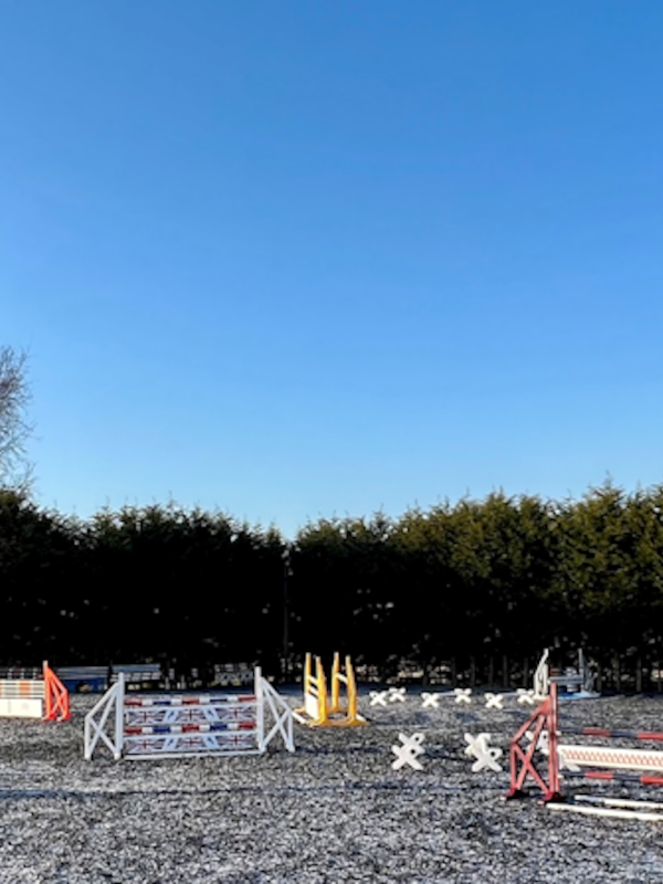 Firs & Feathers Equestrian Firs & Feathers Equestrian