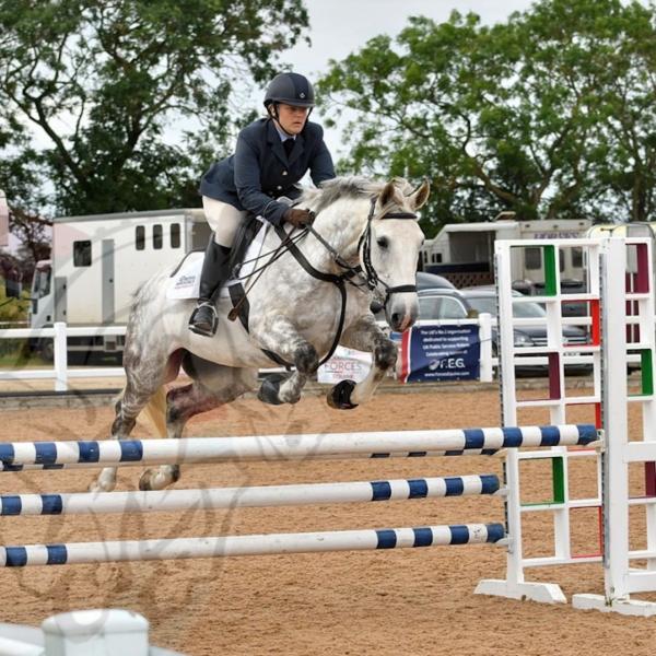 Forces Equine Forces Equine