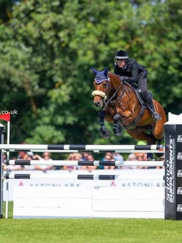 Horsehill Farm Livery Yard Horsehill Farm Livery Yard