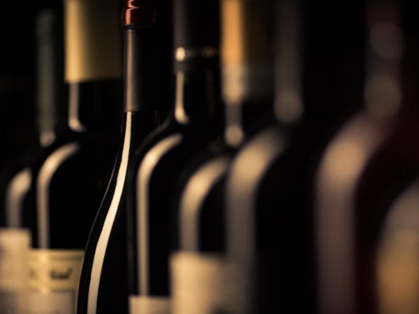 The White Lion Public House The White Lion Public House