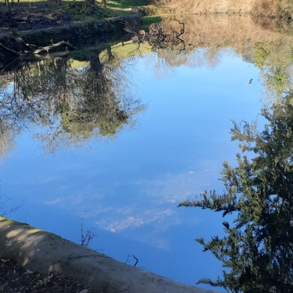 Winterbourne Parish Council Winterbourne Parish Council